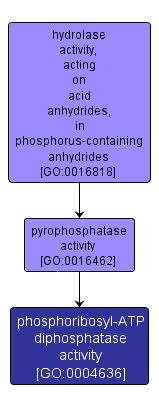 GO:0004636 - phosphoribosyl-ATP diphosphatase activity (interactive image map)