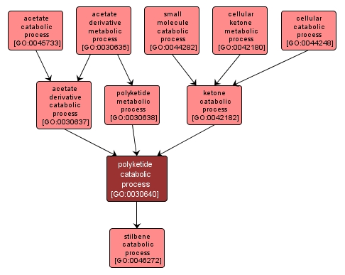 GO:0030640 - polyketide catabolic process (interactive image map)