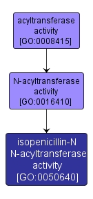 GO:0050640 - isopenicillin-N N-acyltransferase activity (interactive image map)