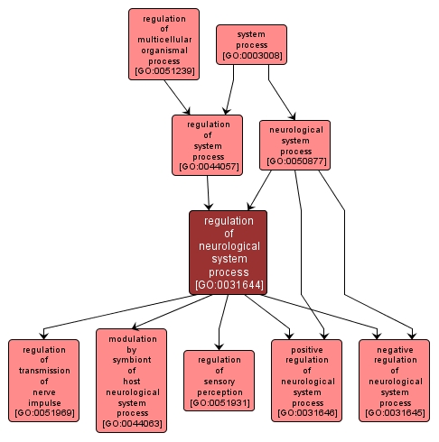 GO:0031644 - regulation of neurological system process (interactive image map)