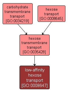 GO:0008647 - low-affinity hexose transport (interactive image map)
