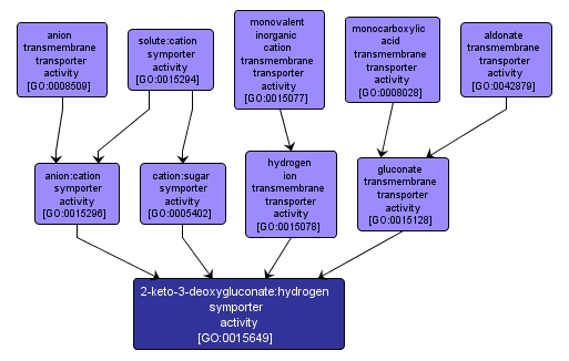 GO:0015649 - 2-keto-3-deoxygluconate:hydrogen symporter activity (interactive image map)