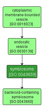 GO:0043659 - symbiosome (interactive image map)