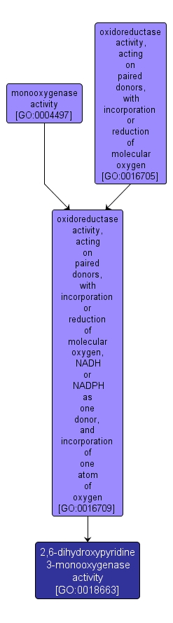 GO:0018663 - 2,6-dihydroxypyridine 3-monooxygenase activity (interactive image map)