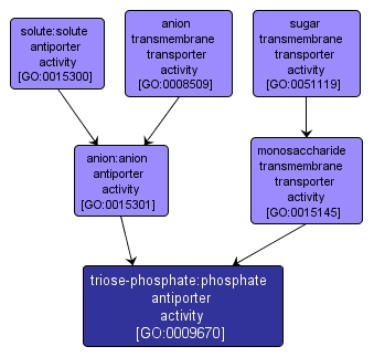 GO:0009670 - triose-phosphate:phosphate antiporter activity (interactive image map)