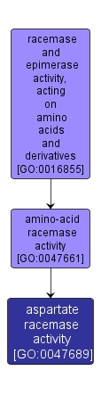 GO:0047689 - aspartate racemase activity (interactive image map)
