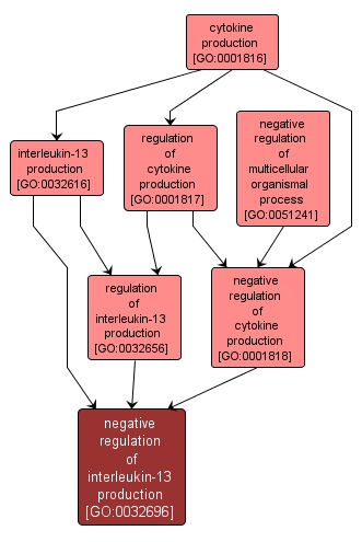 GO:0032696 - negative regulation of interleukin-13 production (interactive image map)