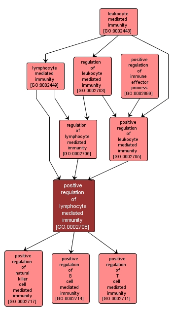 GO:0002708 - positive regulation of lymphocyte mediated immunity (interactive image map)