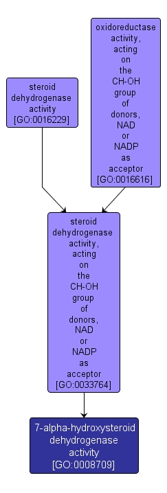 GO:0008709 - 7-alpha-hydroxysteroid dehydrogenase activity (interactive image map)