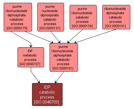 GO:0046709 - IDP catabolic process (interactive image map)