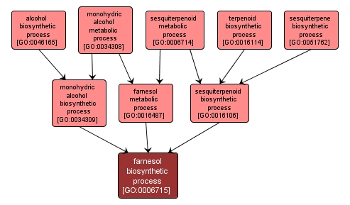 GO:0006715 - farnesol biosynthetic process (interactive image map)