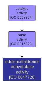 GO:0047720 - indoleacetaldoxime dehydratase activity (interactive image map)