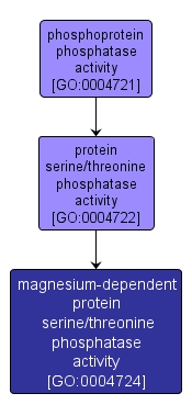 GO:0004724 - magnesium-dependent protein serine/threonine phosphatase activity (interactive image map)