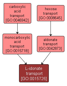 GO:0015726 - L-idonate transport (interactive image map)