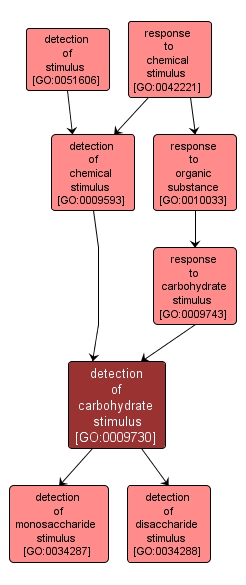 GO:0009730 - detection of carbohydrate stimulus (interactive image map)