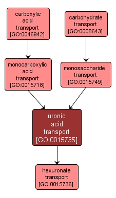GO:0015735 - uronic acid transport (interactive image map)