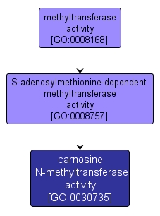 GO:0030735 - carnosine N-methyltransferase activity (interactive image map)