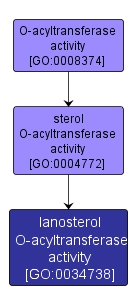 GO:0034738 - lanosterol O-acyltransferase activity (interactive image map)
