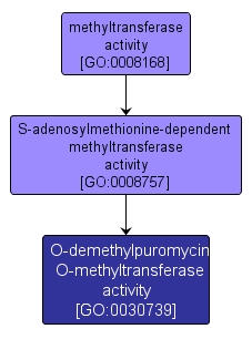 GO:0030739 - O-demethylpuromycin O-methyltransferase activity (interactive image map)