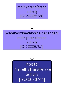GO:0030741 - inositol 1-methyltransferase activity (interactive image map)
