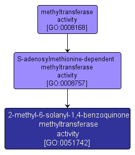 GO:0051742 - 2-methyl-6-solanyl-1,4-benzoquinone methyltransferase activity (interactive image map)