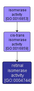 GO:0004744 - retinal isomerase activity (interactive image map)