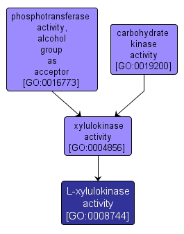 GO:0008744 - L-xylulokinase activity (interactive image map)