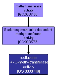 GO:0030746 - isoflavone 4'-O-methyltransferase activity (interactive image map)