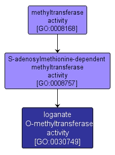 GO:0030749 - loganate O-methyltransferase activity (interactive image map)
