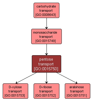 GO:0015750 - pentose transport (interactive image map)