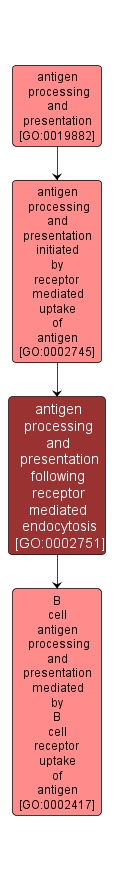 GO:0002751 - antigen processing and presentation following receptor mediated endocytosis (interactive image map)