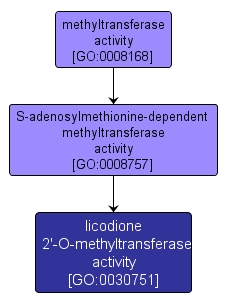 GO:0030751 - licodione 2'-O-methyltransferase activity (interactive image map)