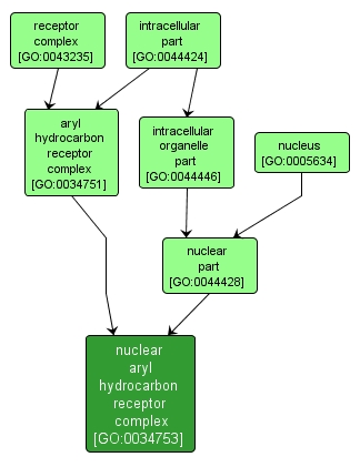 GO:0034753 - nuclear aryl hydrocarbon receptor complex (interactive image map)