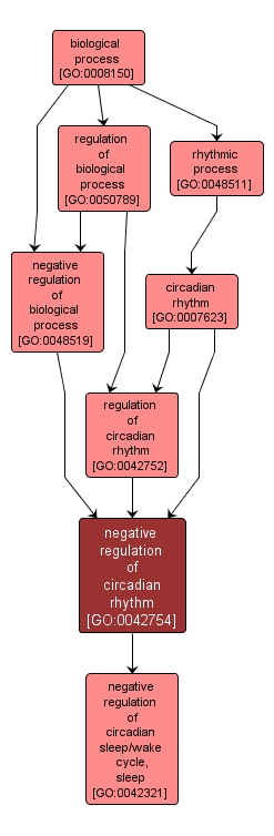 GO:0042754 - negative regulation of circadian rhythm (interactive image map)