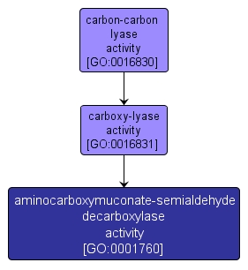 GO:0001760 - aminocarboxymuconate-semialdehyde decarboxylase activity (interactive image map)