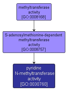 GO:0030760 - pyridine N-methyltransferase activity (interactive image map)