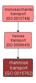 GO:0015762 - rhamnose transport (interactive image map)