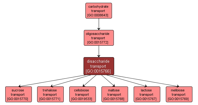 GO:0015766 - disaccharide transport (interactive image map)