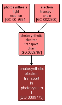 GO:0009773 - photosynthetic electron transport in photosystem I (interactive image map)