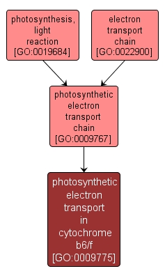 GO:0009775 - photosynthetic electron transport in cytochrome b6/f (interactive image map)