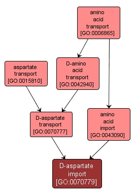 GO:0070779 - D-aspartate import (interactive image map)