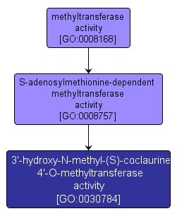 GO:0030784 - 3'-hydroxy-N-methyl-(S)-coclaurine 4'-O-methyltransferase activity (interactive image map)