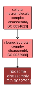 GO:0032790 - ribosome disassembly (interactive image map)