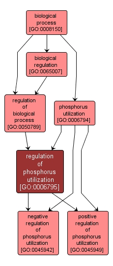 GO:0006795 - regulation of phosphorus utilization (interactive image map)