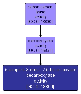 GO:0018800 - 5-oxopent-3-ene-1,2,5-tricarboxylate decarboxylase activity (interactive image map)