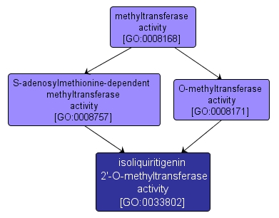 GO:0033802 - isoliquiritigenin 2'-O-methyltransferase activity (interactive image map)
