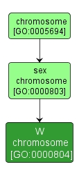 GO:0000804 - W chromosome (interactive image map)
