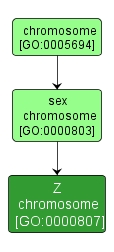 GO:0000807 - Z chromosome (interactive image map)