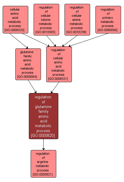 GO:0000820 - regulation of glutamine family amino acid metabolic process (interactive image map)