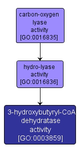 GO:0003859 - 3-hydroxybutyryl-CoA dehydratase activity (interactive image map)